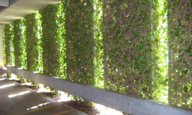 Green Wall Garage, Sumber: pinterest.com