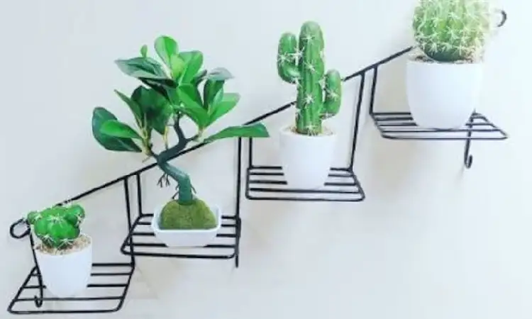 Rak bunga besi, Sumber: my-best.com